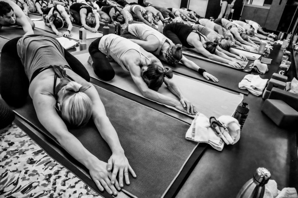 yoga teacher Archives - sasha yoga + wellness